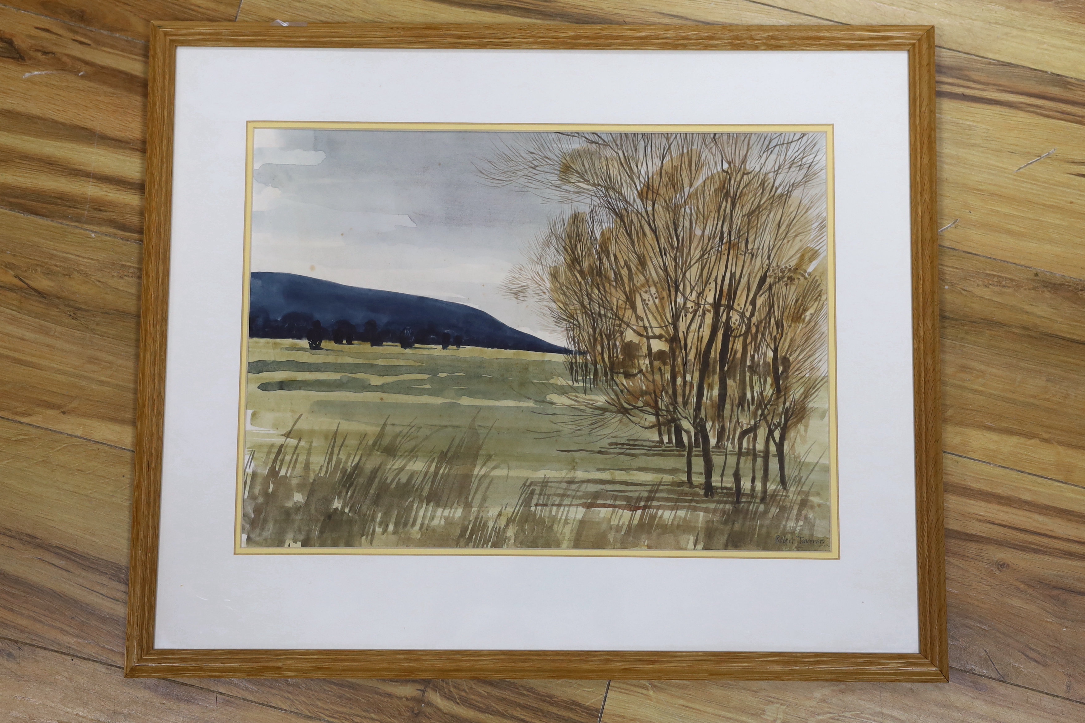 Robert Tavener (1920-2004), watercolour, Landscape with willow trees, signed, 33 x 45cm